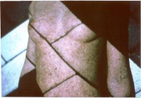 /album/metamorfose/foto-d-jpg/